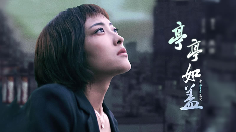 电影《亭亭如盖》4月15日全国上映 创作来自真实事件