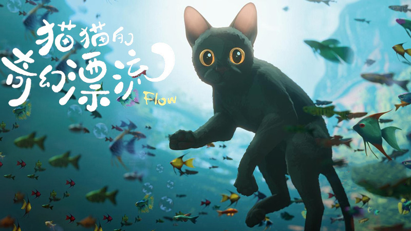 萌宠集结《猫猫的奇幻漂流》猫猫方舟 奇幻启航