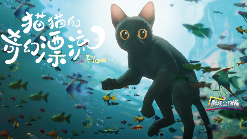 影视全报道：高分动画《猫猫的奇幻漂流》定档 萌趣冒险即将开启