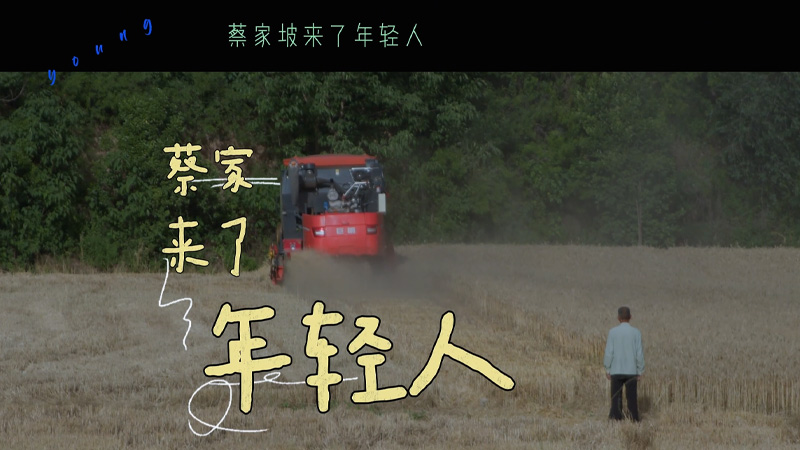 周瑱作品片花