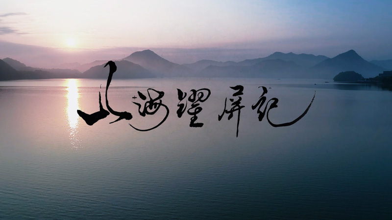 徐源迎作品片花