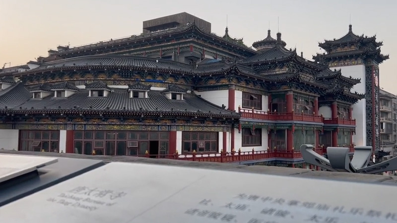 高瑜含作品片花