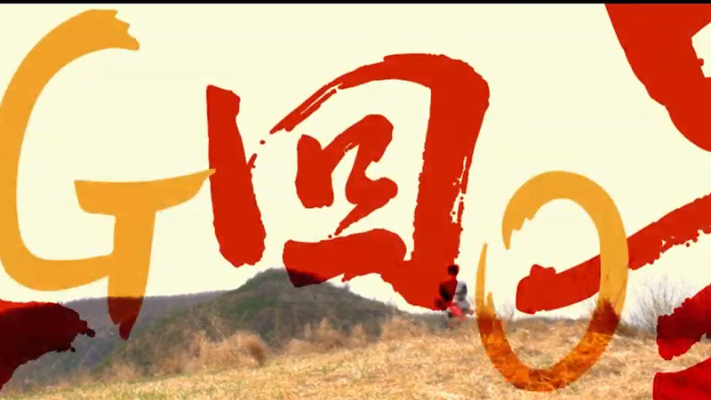 王言作品片花
