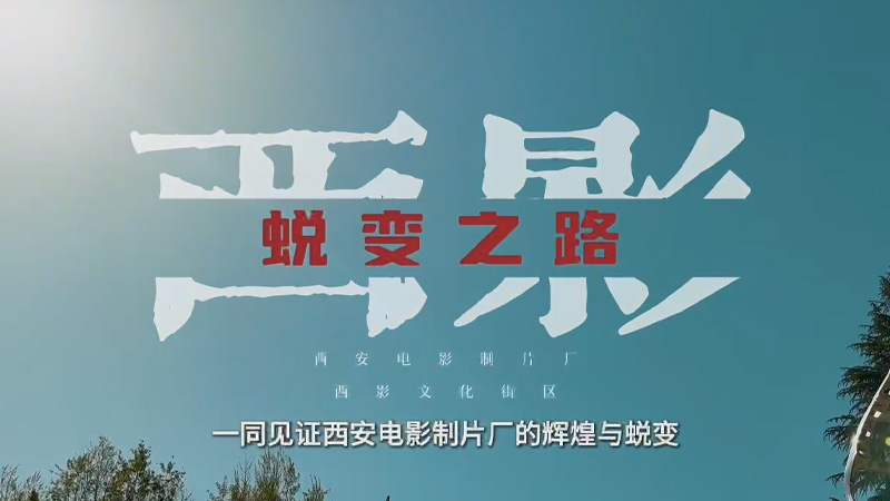 徐鑫晨作品片花
