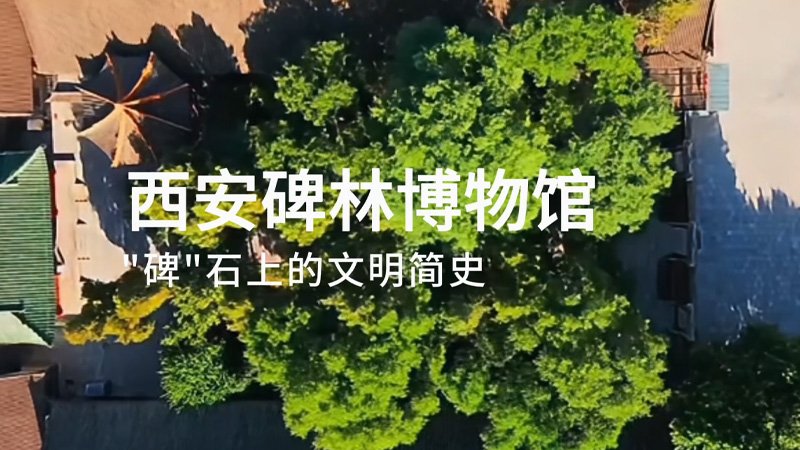 杨甜作品片花