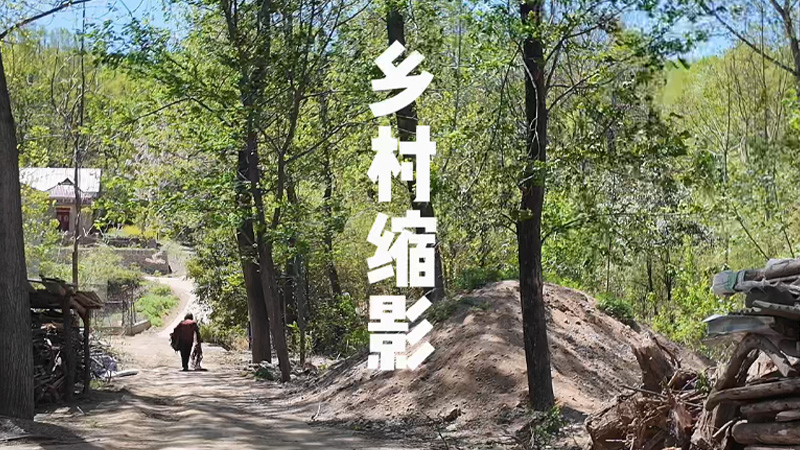 禹惠荣作品片花