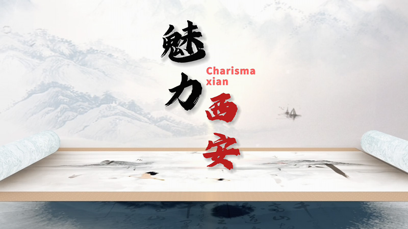 王璐作品片花